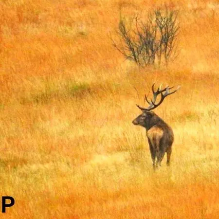 La Taniere Du Ubytování v soukromí *