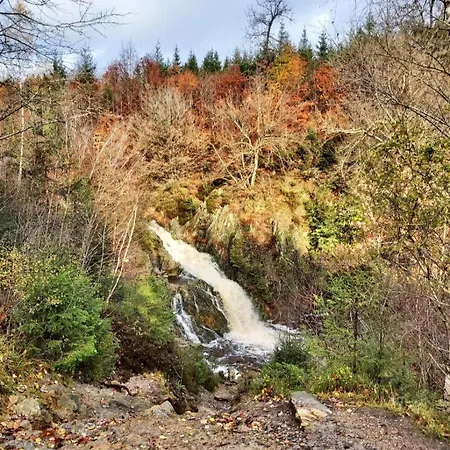 La Taniere Du Robertville