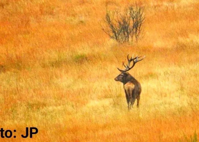 La Taniere Du Accommodatie bij particulieren *