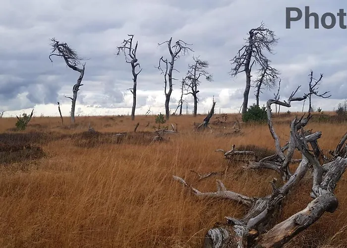 Accommodatie bij particulieren La Taniere Du *
