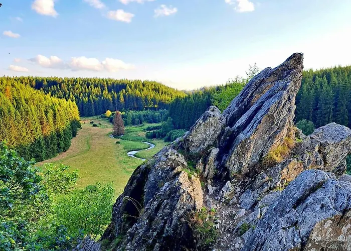 La Taniere Du * Robertville